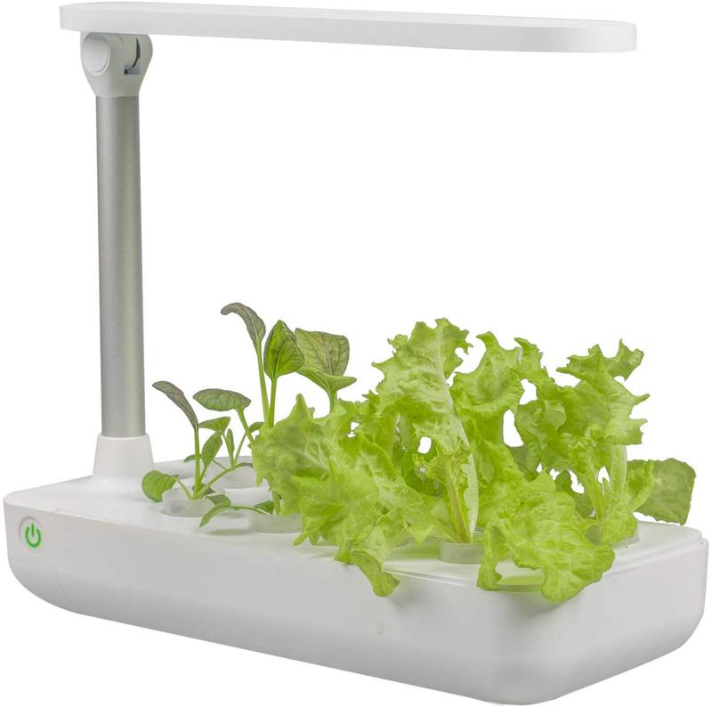 VegeBox-2