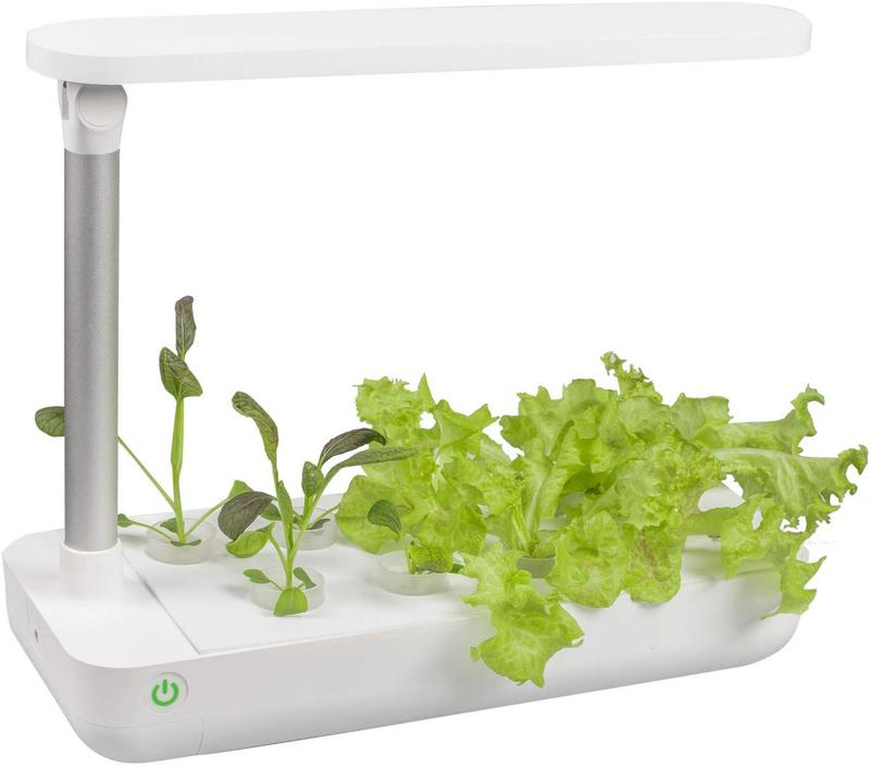 VegeBox-3