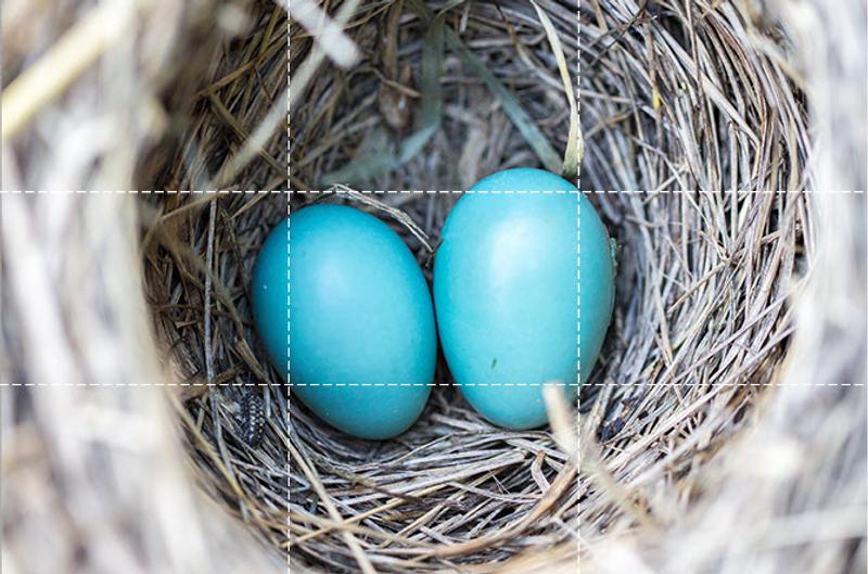 Eggs-Center-Placement