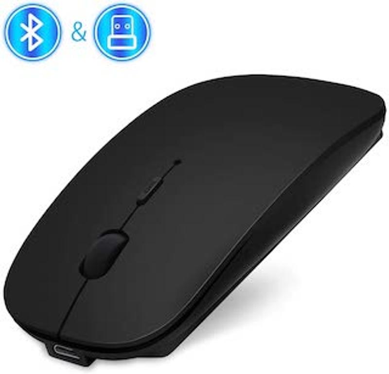 mouse