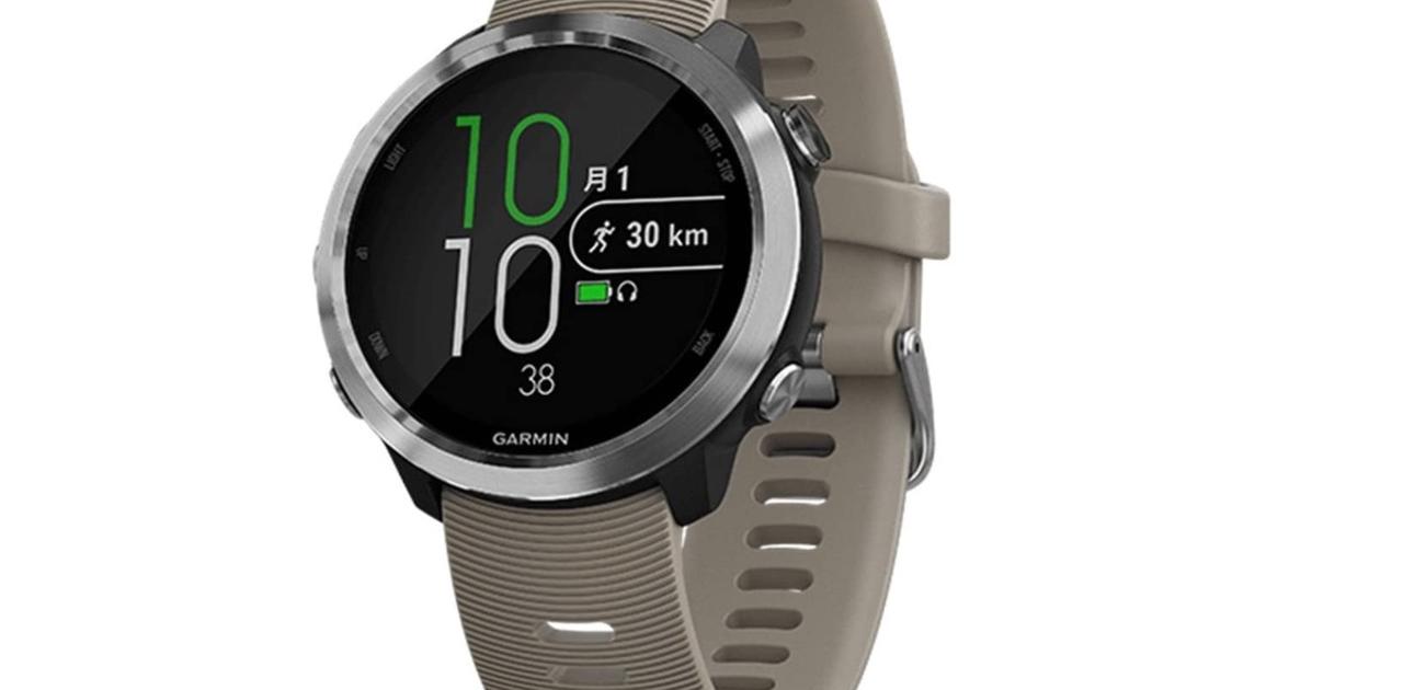 GARMIN(ガーミン) スマートウォッチ 時計 華々しく GPS アクティブ  