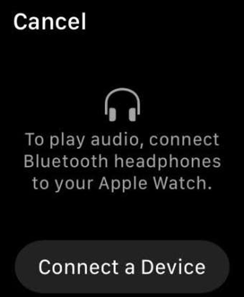 Apple WatchのSpotifyアプリ