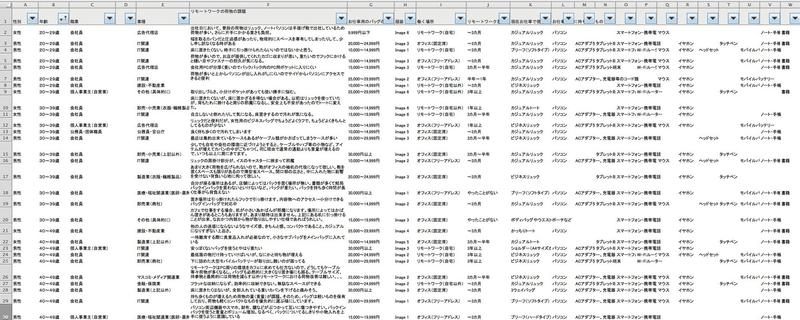 marui_questionnaire