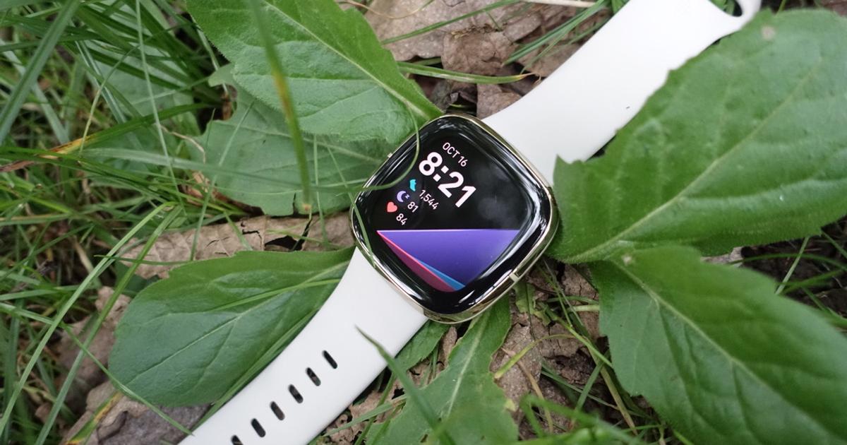 Fitbit Sense」レビュー｜健康管理に最適なスマートウォッチ | ライフ 