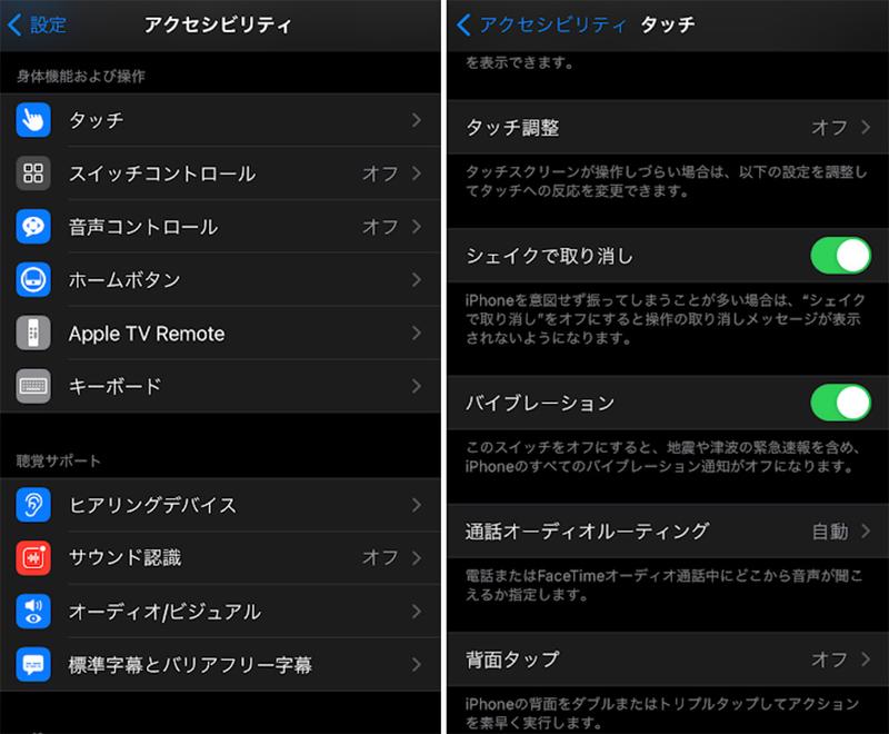 iphone210111_2