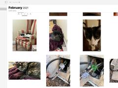 iCloudに保存している写真と動画をGoogleにバックアップする方法