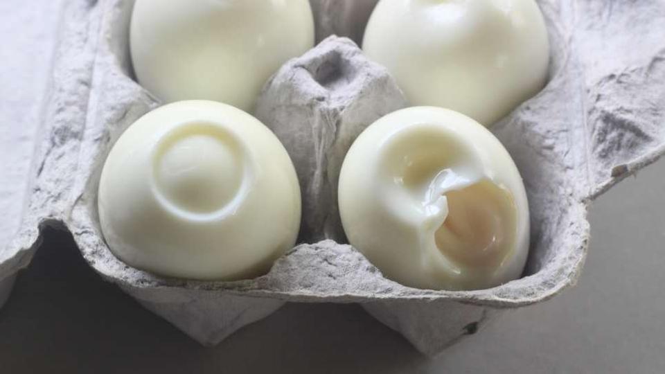 egg4