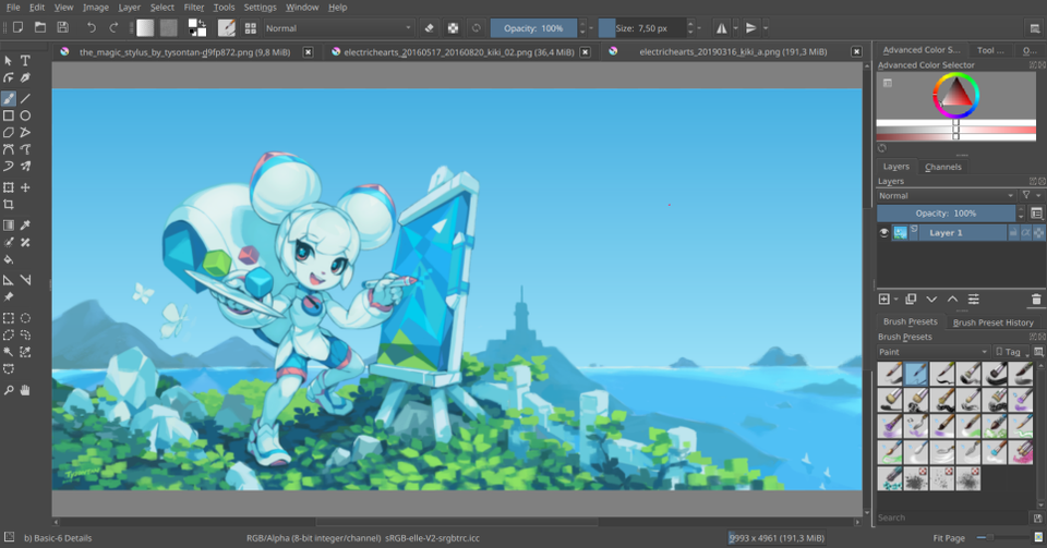 adobe5