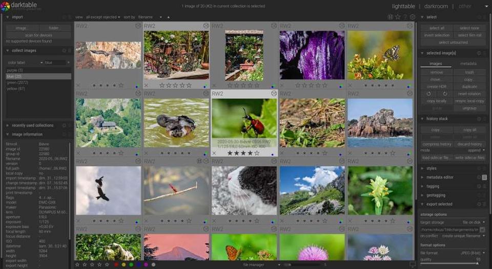adobe8