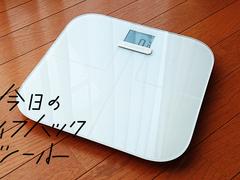 ダイエットでしっかり結果を残したい人へ。『Garmin Index S2』レビュー【今日のライフハックツール】