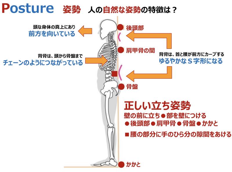 DB8F90F8-8040-4BE6-BE45-BA513B0ECAEB