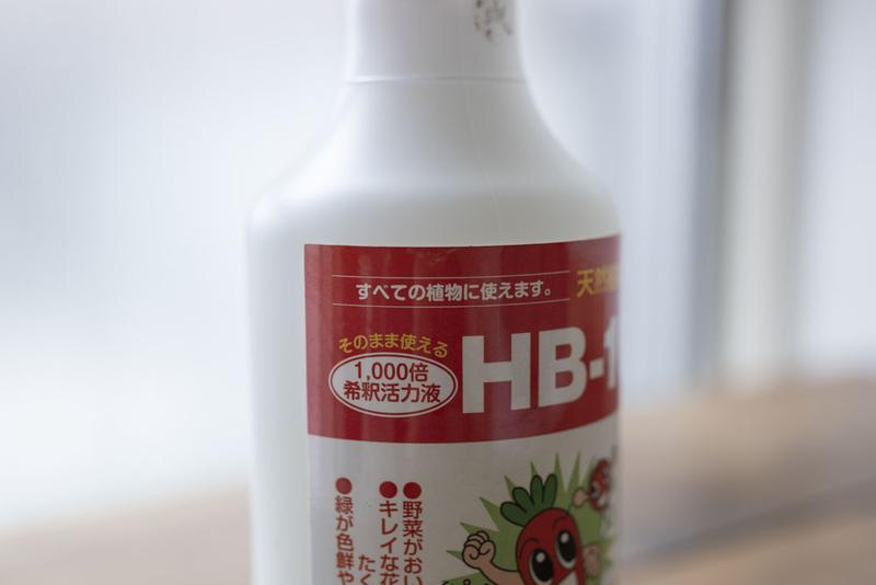 HN9A9216