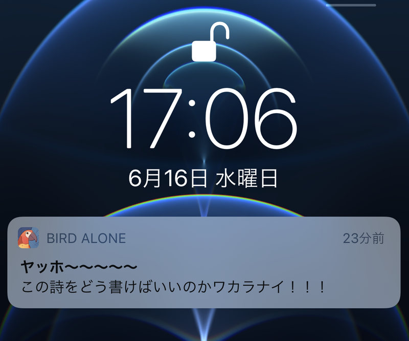 bird-alone_09