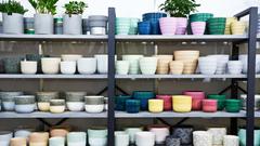 植木鉢の選び方〜素焼き、陶器、プラスチックの特徴を比較