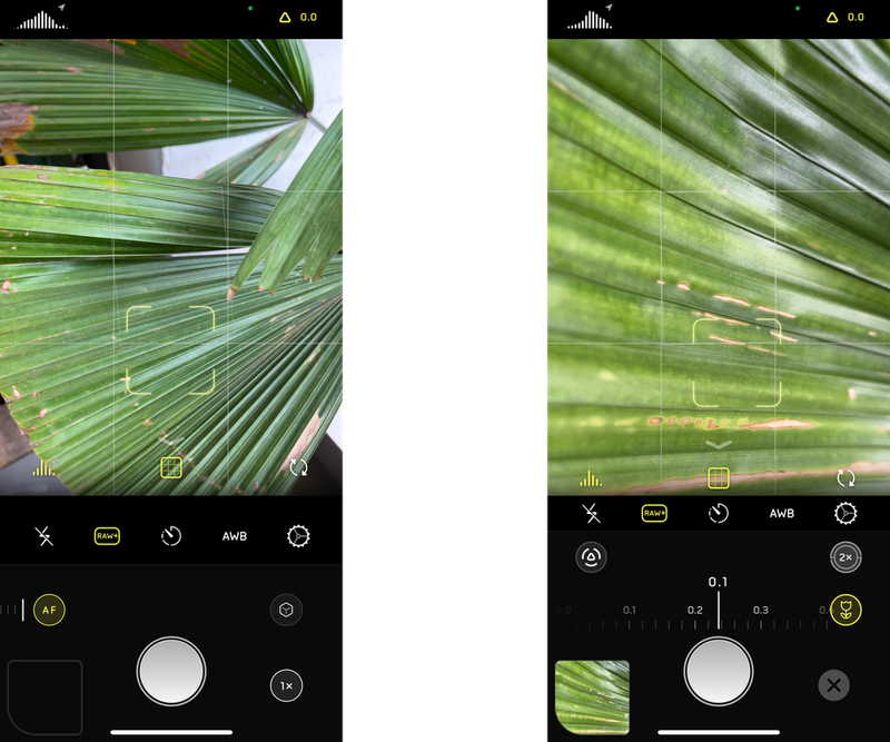 Halide3