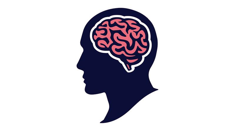 shutterstock_1153619326
