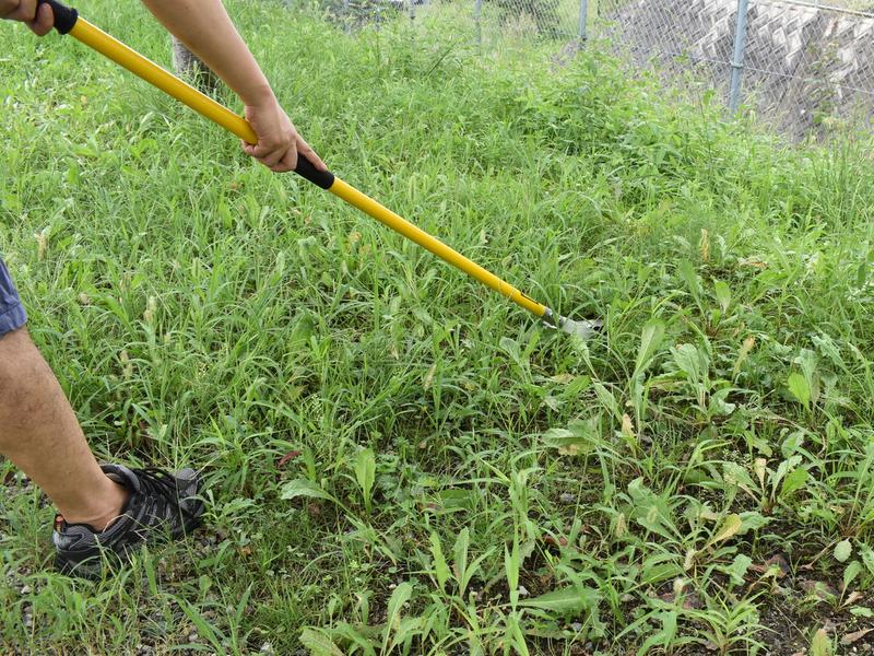 立ったまま草刈り＆除草ができるガーデニングツール「SKIDGER」が画期的！ | ライフハッカー・ジャパン