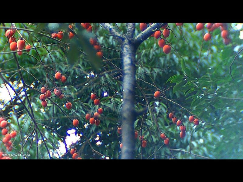 Photo: 山田洋路