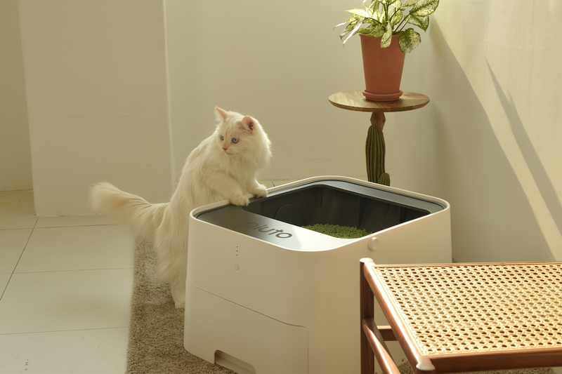愛猫のために！ ハイテク猫トイレは、長い目で見て導入の価値アリ