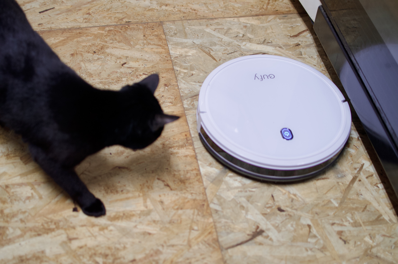 大量ゴミの元凶と遭遇したEufy。猫の攻撃にもスマートに対応していました