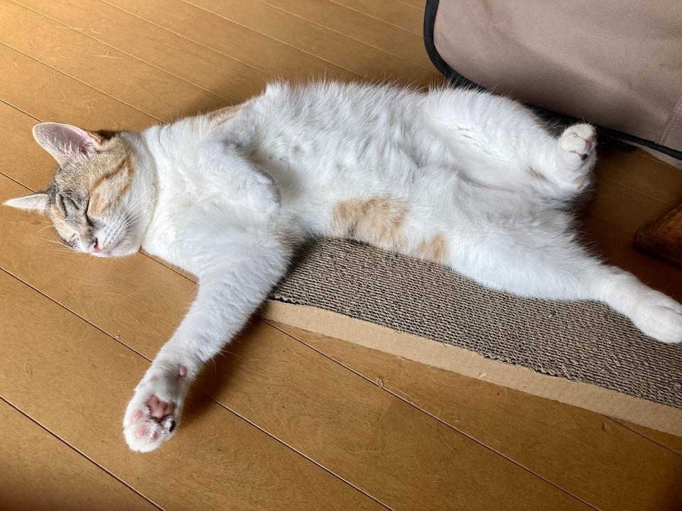 Photo:カタオカキヨシ