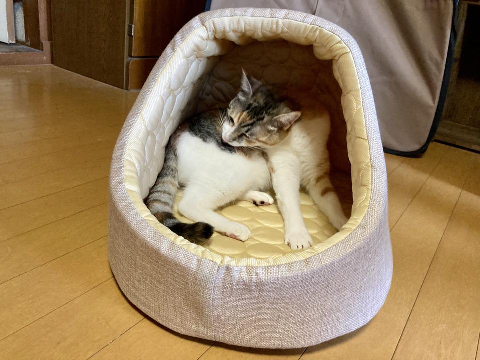 Photo:カタオカ キヨシ