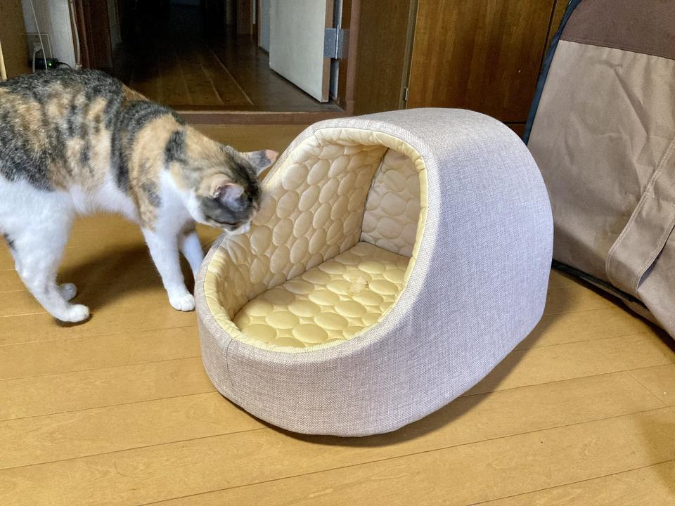 Photo:カタオカ キヨシ
