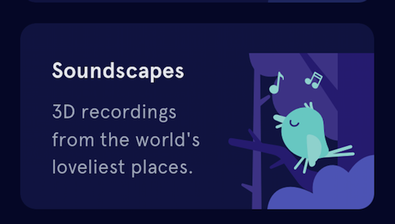 スリープスケープ：世界の素晴らしい場所の3D録音。