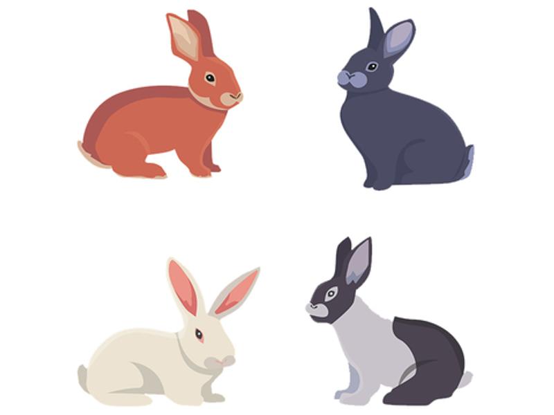 Image:Shutterstock