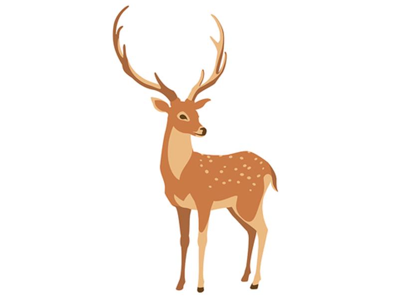 Image:Shutterstock