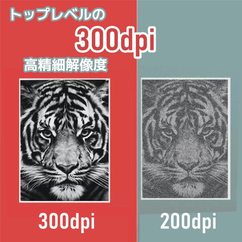 Image: MKTrade