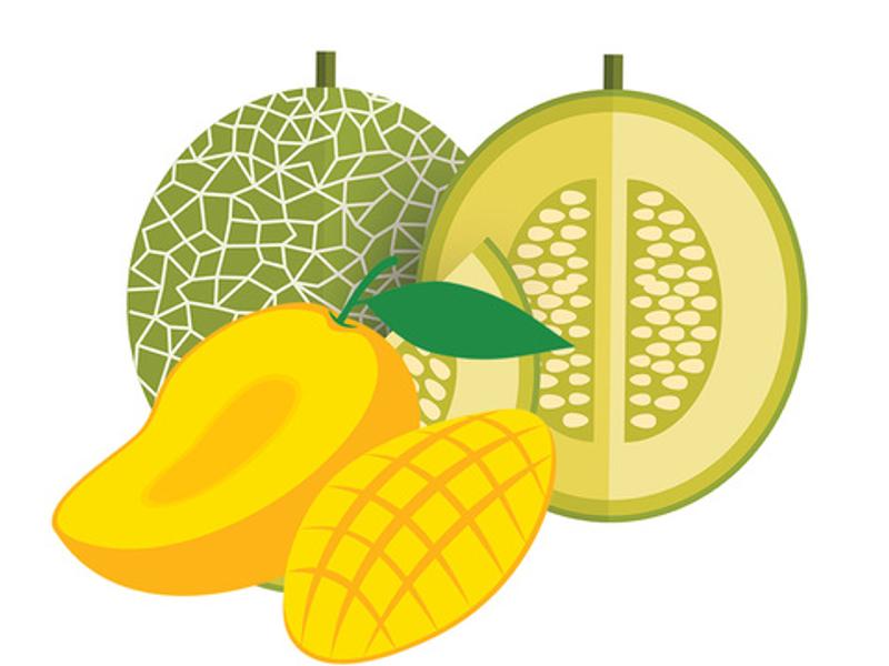 Image:Shutterstock
