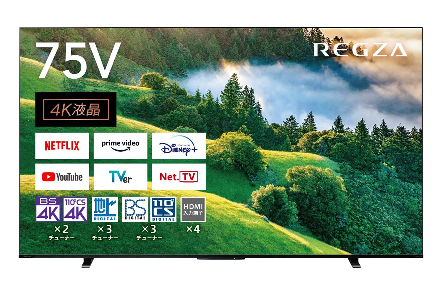 GWセール❣️【液晶割れ】東芝 REGZA 49型 4K テレビ 49G20X 46～52