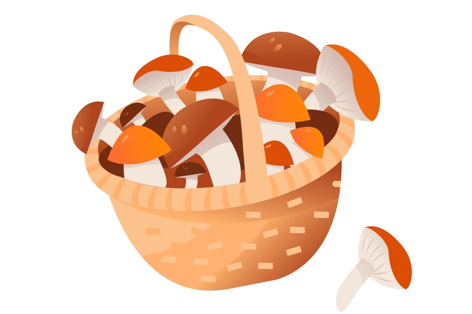 心理テスト診断結果 しめじ 舞茸 エリンギ あなたを きのこ に例えたら タイプ別性格診断 ライフハッカー ジャパン