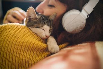 愛猫と一秒でも長く幸せに暮らすために、オーナーが知っておくべき6つのポイント
