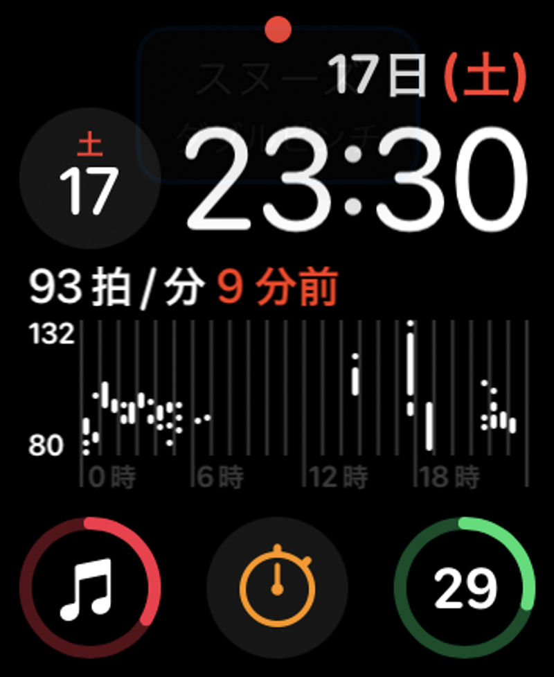 Screenshot: 酒井麻里子 via Apple Watch
