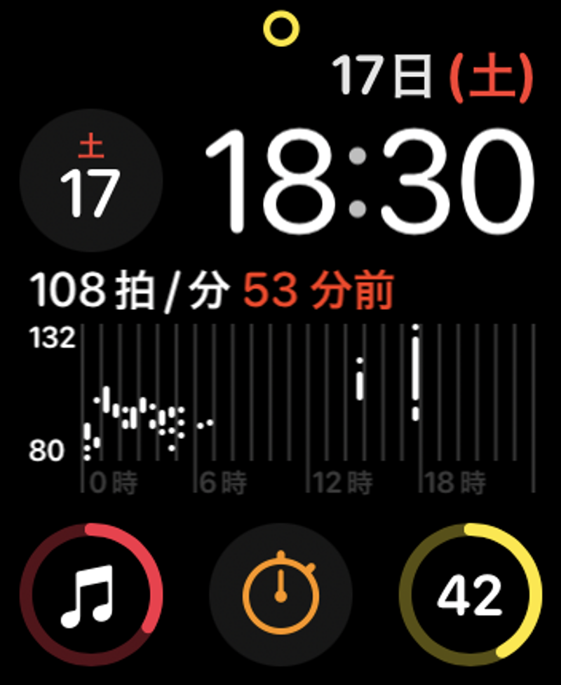 Screenshot: 酒井麻里子 via Apple Watch