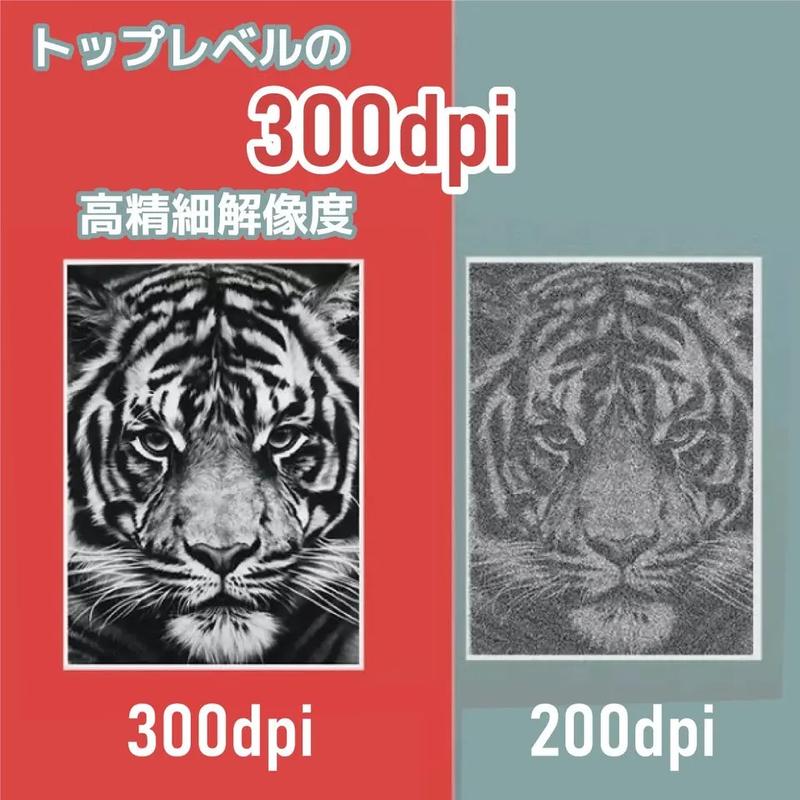 Image: MKTrade