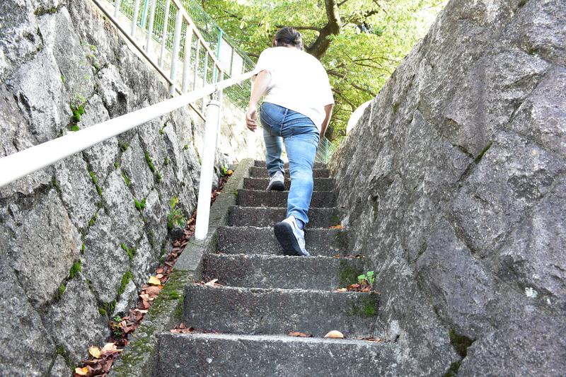 Photo: 山田洋路
