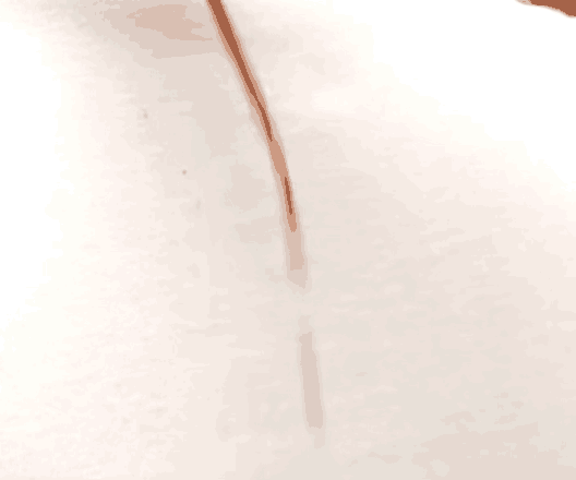 Image: RELORE
