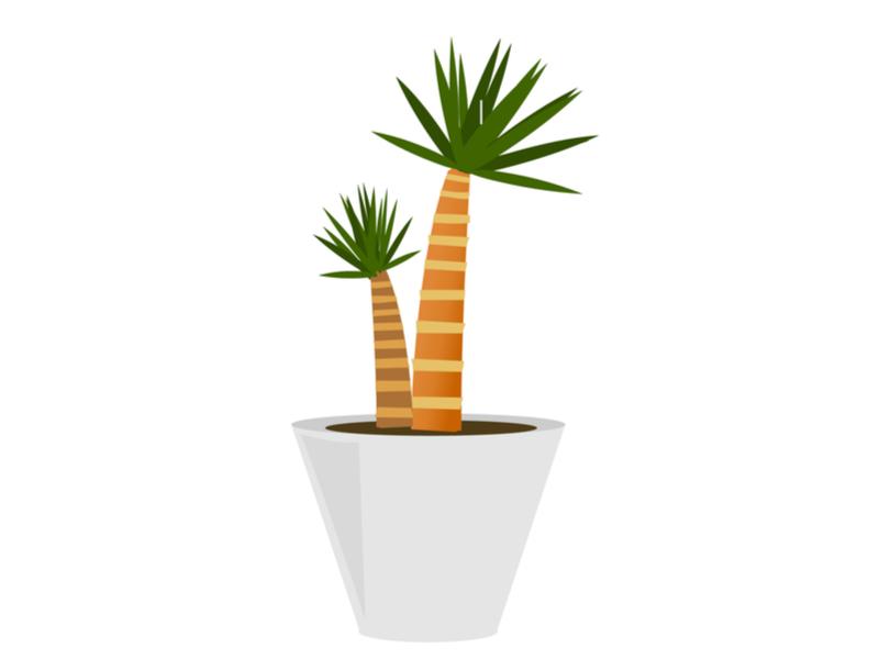 Image:Shutterstock