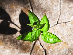 諦めてしまう人と、粘り強くがんばれる人の違い。『やり抜く力 GRIT』著者の答え | ライフハッカー・ジャパン