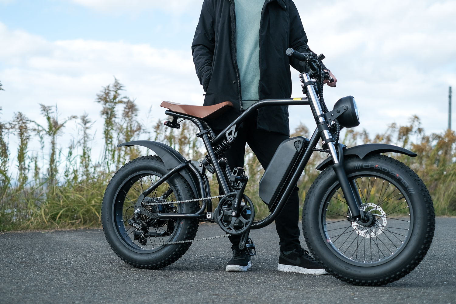 ポッキー様　電動自転車 BS Assista Li-ion ブラウン　65★ ポッキー様 電動自転車 BS Assista Li-ion ブラウン 65☆ 自転車
