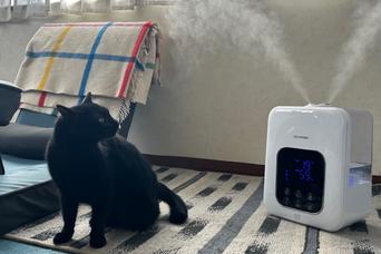 1日つけても電気代は約8円。夜もつけっぱなしにできる超音波+加熱式の加湿器
