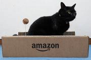 ネコまっしぐら！ Amazon印の爪とぎはコスパ良好で最高のオモチャかも