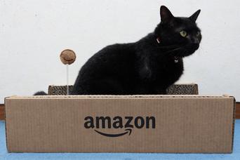 ネコまっしぐら! Amazon印の爪とぎはコスパ良好で最高のオモチャかも