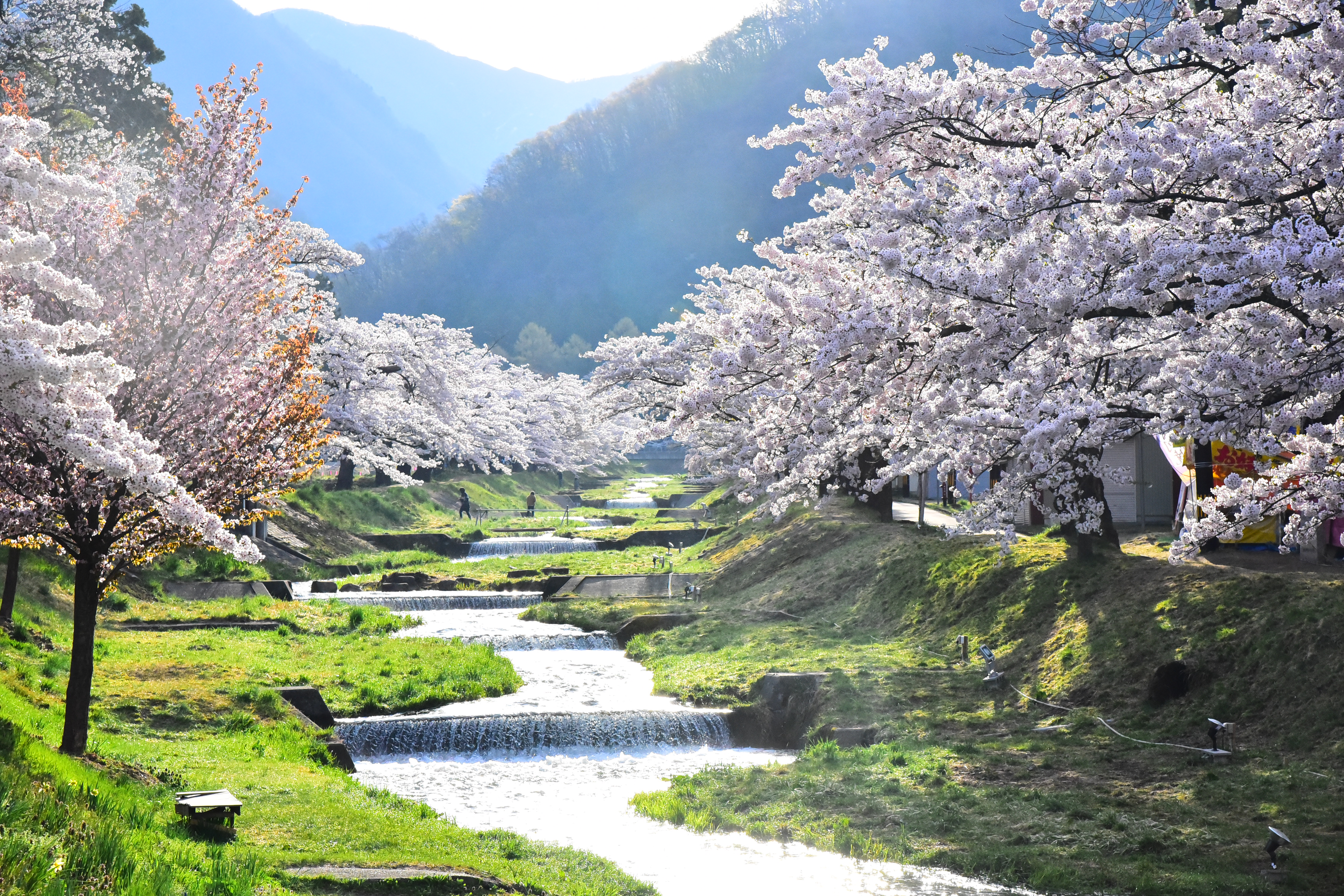 豊かな自然に囲まれた会津若松の風景