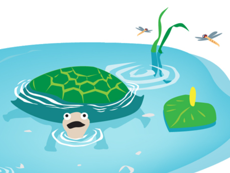Image:Shutterstock