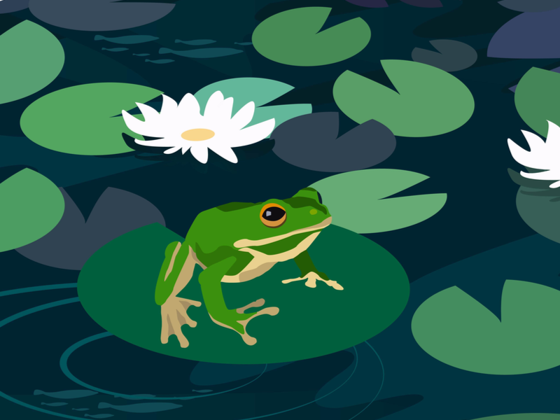Image:Shutterstock