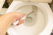 水切れが良く、フチ裏までピカピカに！長く使っても衛生的な革新的トイレブラシ